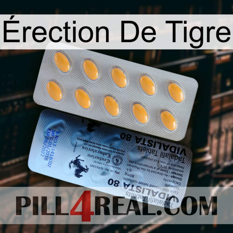 Érection De Tigre 44
